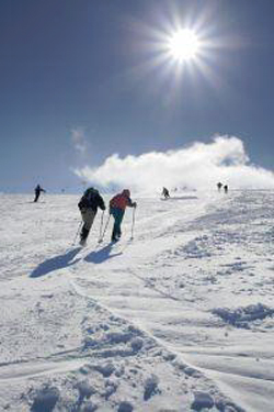 Deportes de nieve, Ski